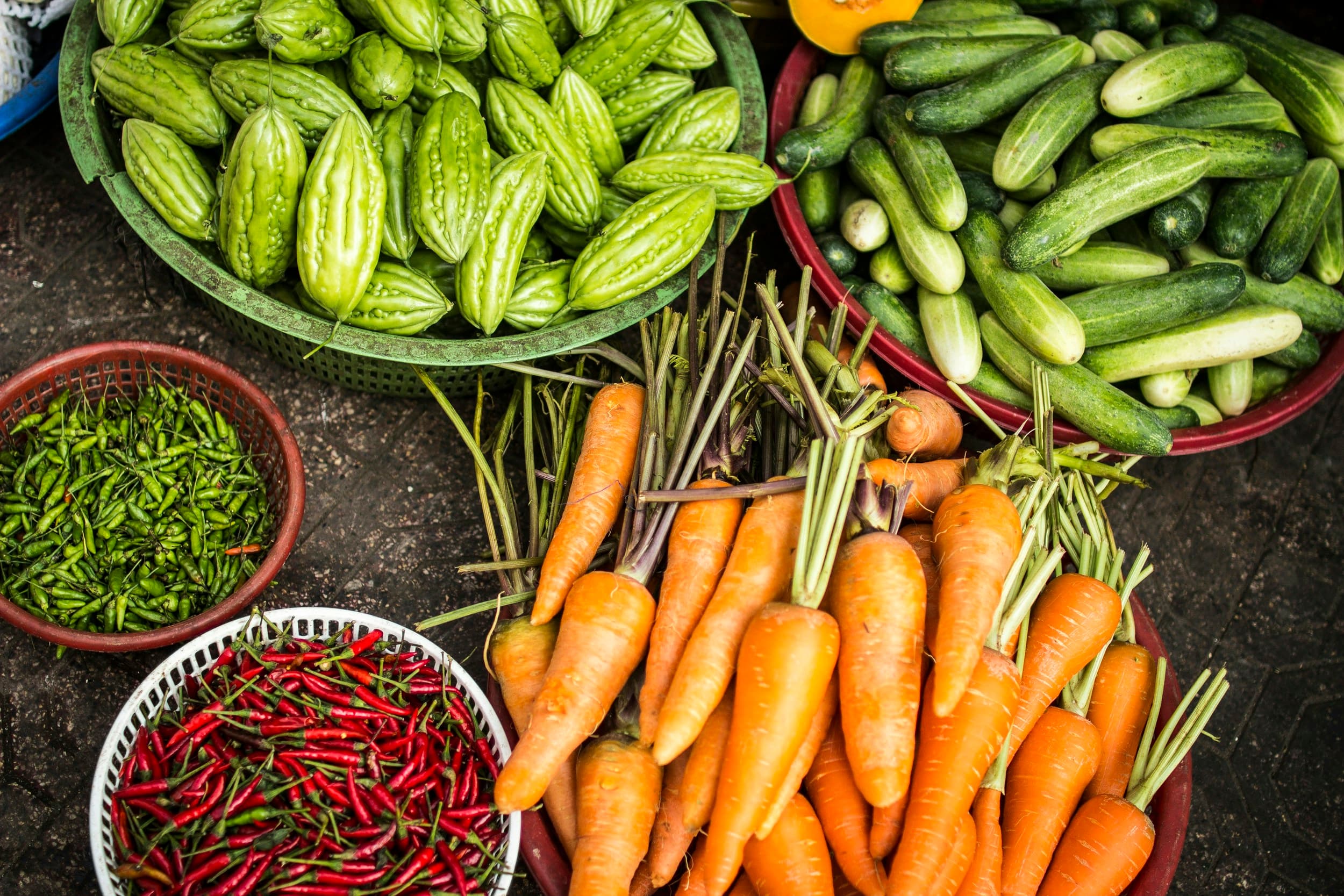 Agriculture Banner