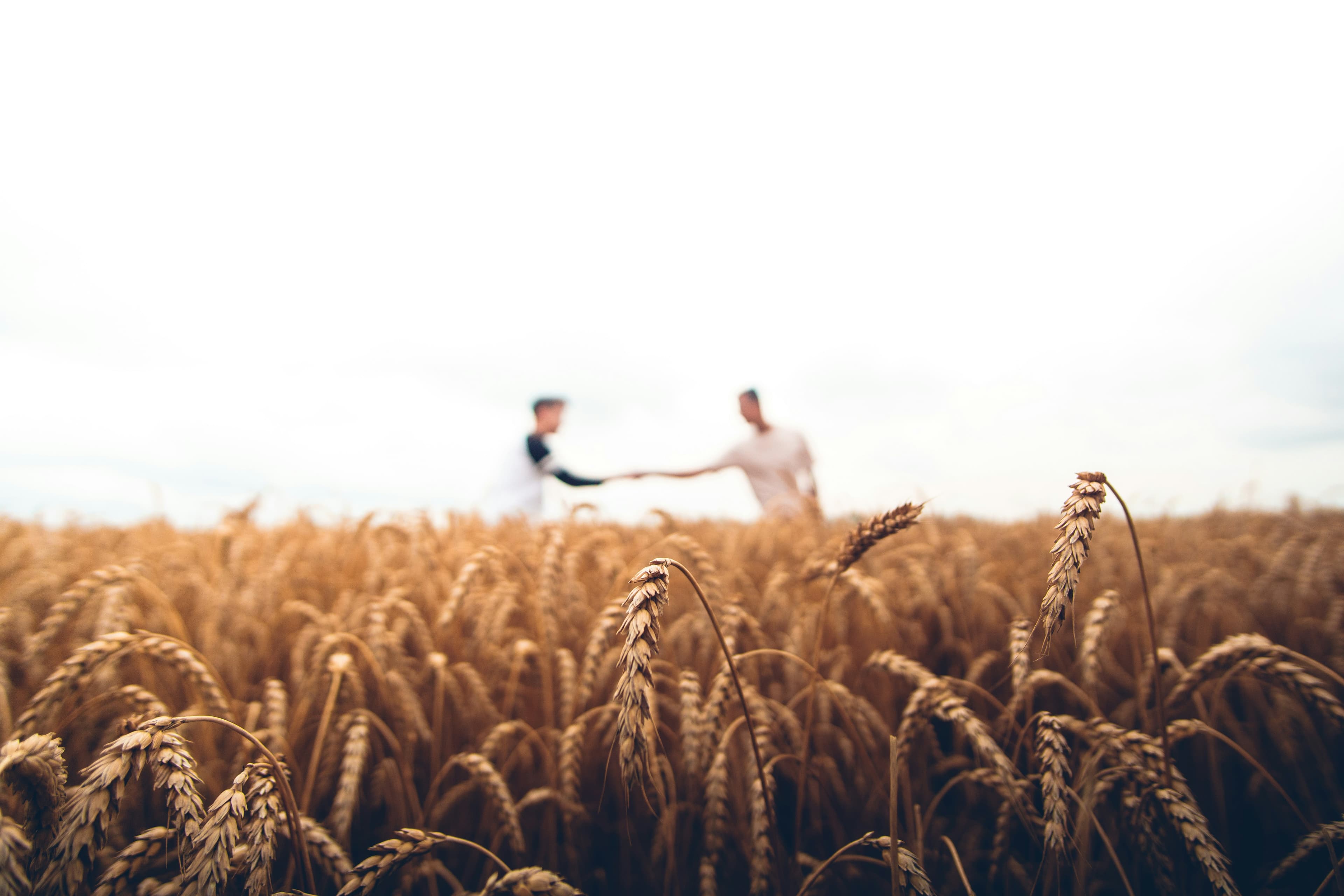 Agriculture Banner